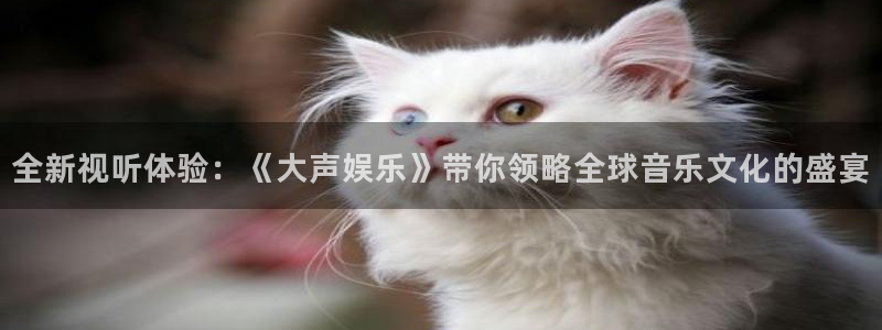 赢咖5：全新视听体验：《大声娱乐》带你领略全球音乐文化的盛宴