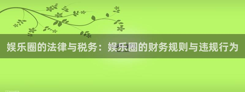 赢咖世纪娱乐：娱乐圈的法律与税务：娱乐圈的财务规则与违规行为