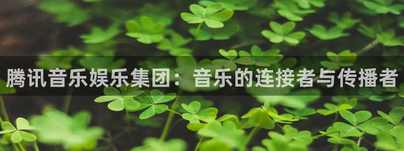 赢咖3：腾讯音乐娱乐集团：音乐的连接者与传播者