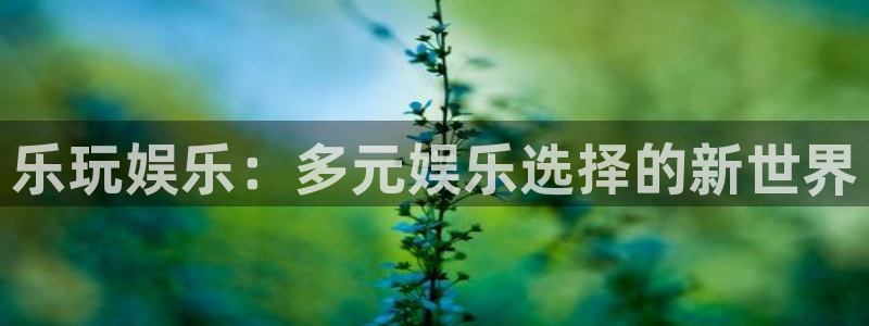 赢咖6：乐玩娱乐：多元娱乐选择的新世界