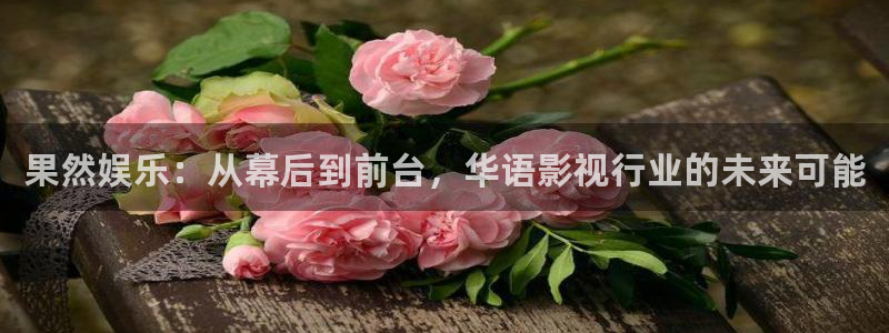 赢咖平台app：果然娱乐：从幕后到前台，华语影视行业的未来可能