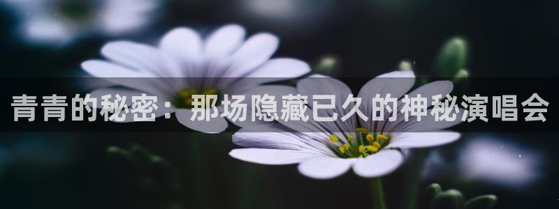 赢咖：青青的秘密：那场隐藏已久的神秘演唱会