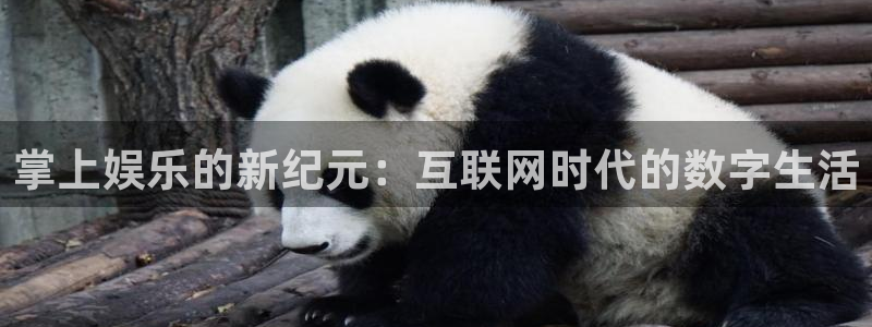 赢咖官网登录入口：掌上娱乐的新纪元：互联网时代的数字生活