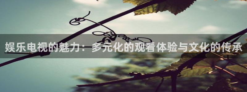 赢咖官网登录入口：娱乐电视的魅力：多元化的观看体验与文化的传承
