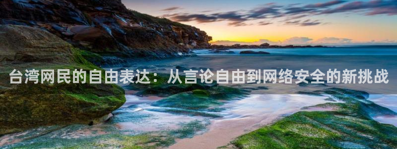 赢咖娱乐：台湾网民的自由表达：从言论自由到网络安全的新挑战